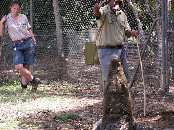 Australia Web 15.jpg