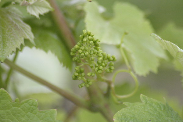 Gironde Web 07.jpg