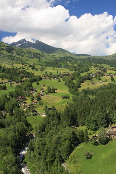 Grindelwald 10.jpg