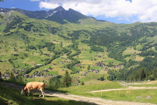 Grindelwald 11.jpg