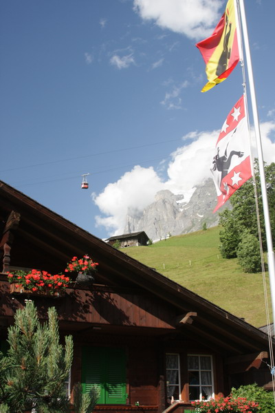 Grindelwald 15.jpg