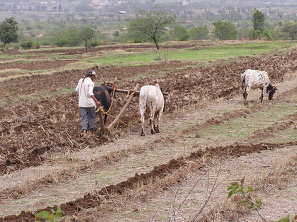 India web 15.jpg