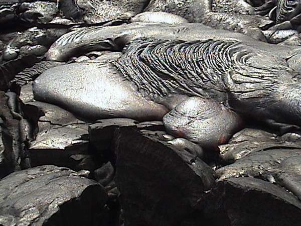 Kilauea Volcano 10.JPG