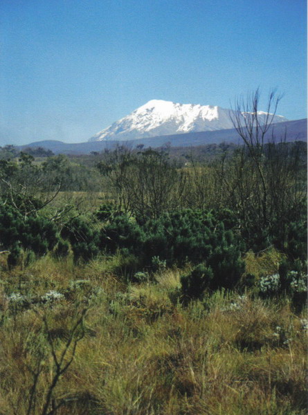 Kilimanjaro 02.jpg