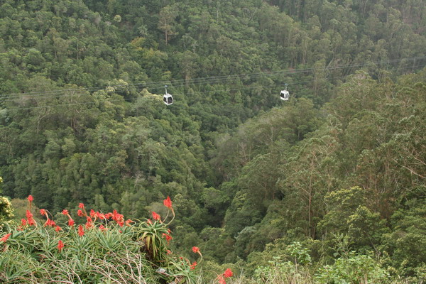 Madeira Islands 11.jpg