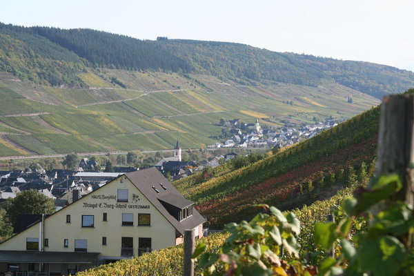 Mosel Web 01.jpg