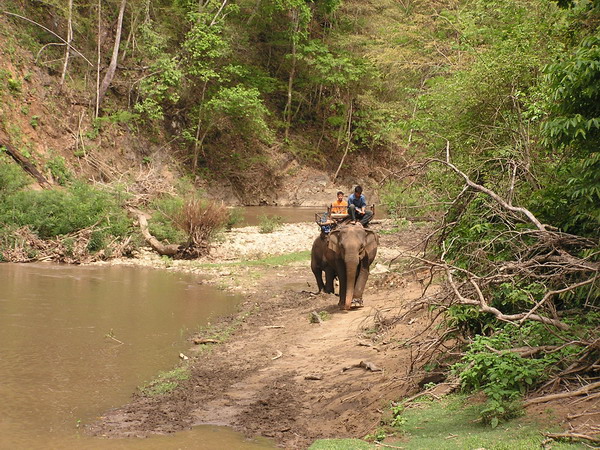 Thailand Web 099.JPG