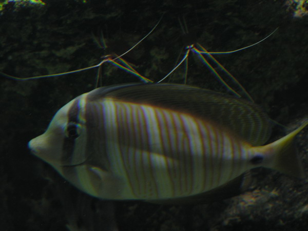 Underwater World Web 11.jpg