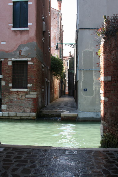 Venice Web 14.jpg